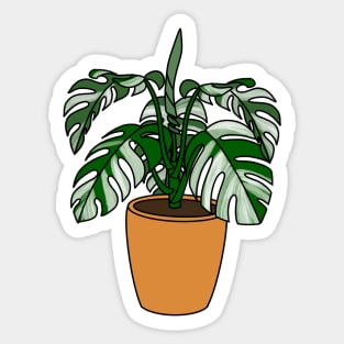 Monstera Albo Plant Illustration | Plant in a pot Sticker